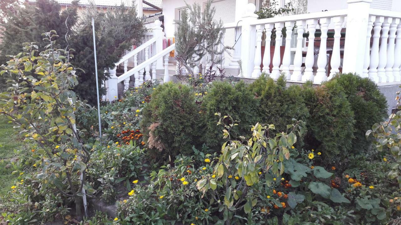 Leon'S Silberwald Apartment Strasshof an der Nordbahn Ngoại thất bức ảnh